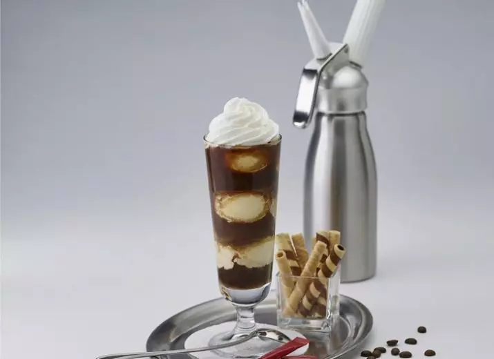 Siphon for cream: Features of the culinary silver. How to use a confectionery siphon for whipping cream? 24965_12