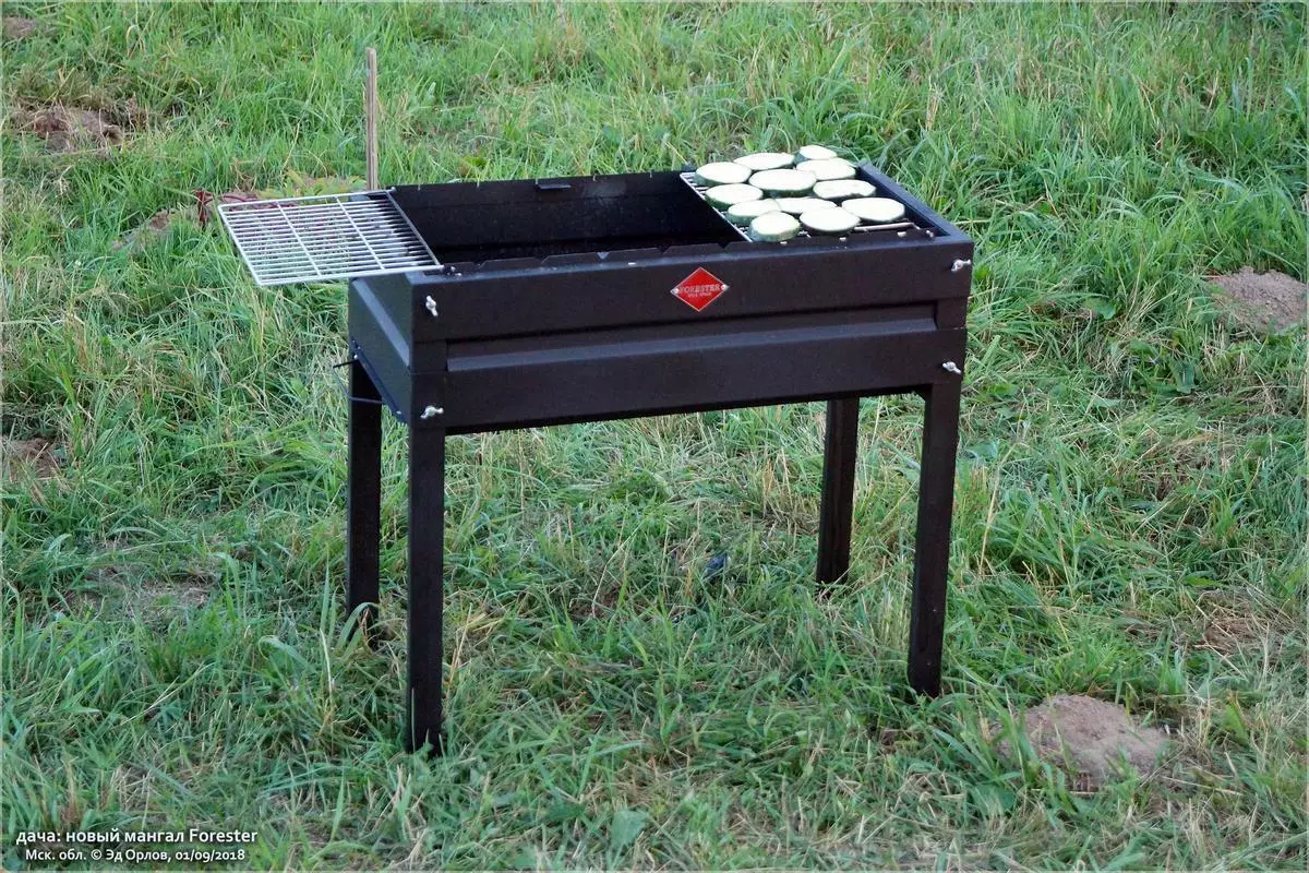 Zestaw do grillowania: Walizki na prezenty z narzędziami do grillowania i grill, obudowy z akcesoriami do kebabs i Mangalov 24972_16