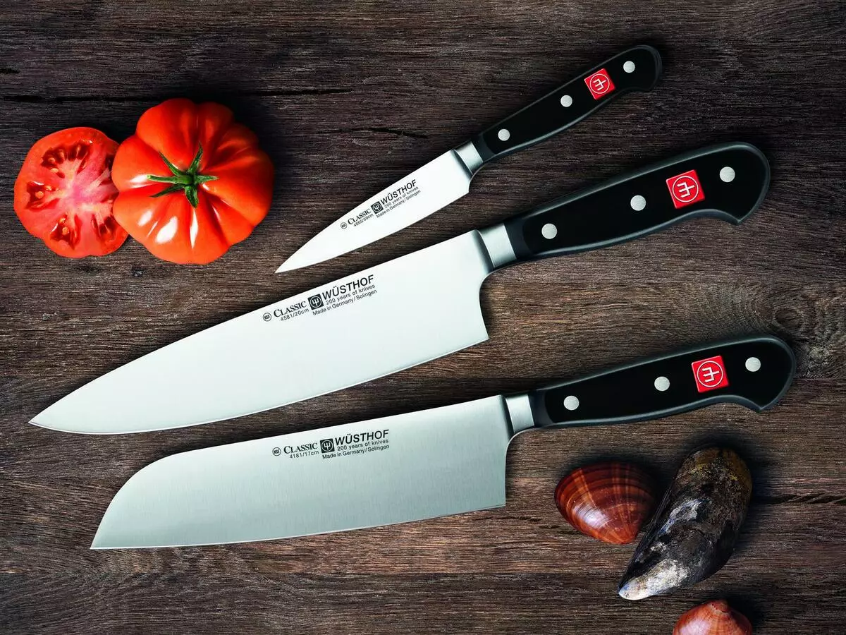 Facas alemãs (46 fotos): Zwilling J.A facas de cozinha. Hinckels e conjuntos de outros fabricantes. Escolhendo as melhores facas de cozinha 24990_43
