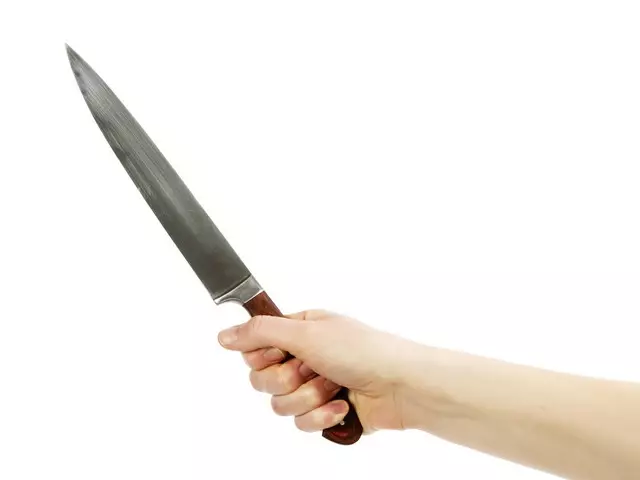 Migający nóż (31 zdjęć): Jak wybrać nóż do cięcia do cięcia mięsa? Dlaczego potrzebujesz uniwersalnego noża? Profesjonalny ruch i inne modele 24992_31