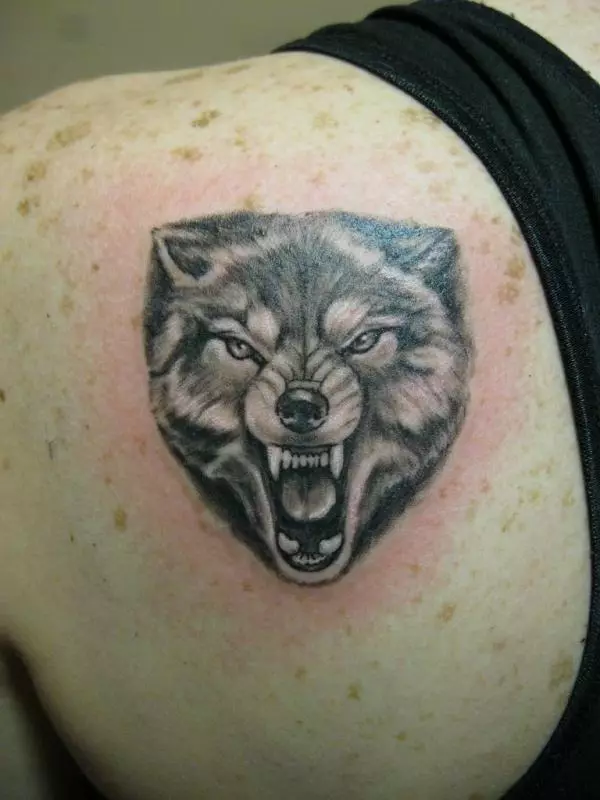 紋身“Oskal Wolf”（43張照片）：價值和素描，紋身用狼磨在肩部和胸部，在前臂和身體的其他部位 249_15