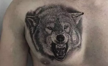 纹身“Oskal Wolf”（43张照片）：价值和素描，纹身用狼磨在肩部和胸部，在前臂和身体的其他部位 249_27