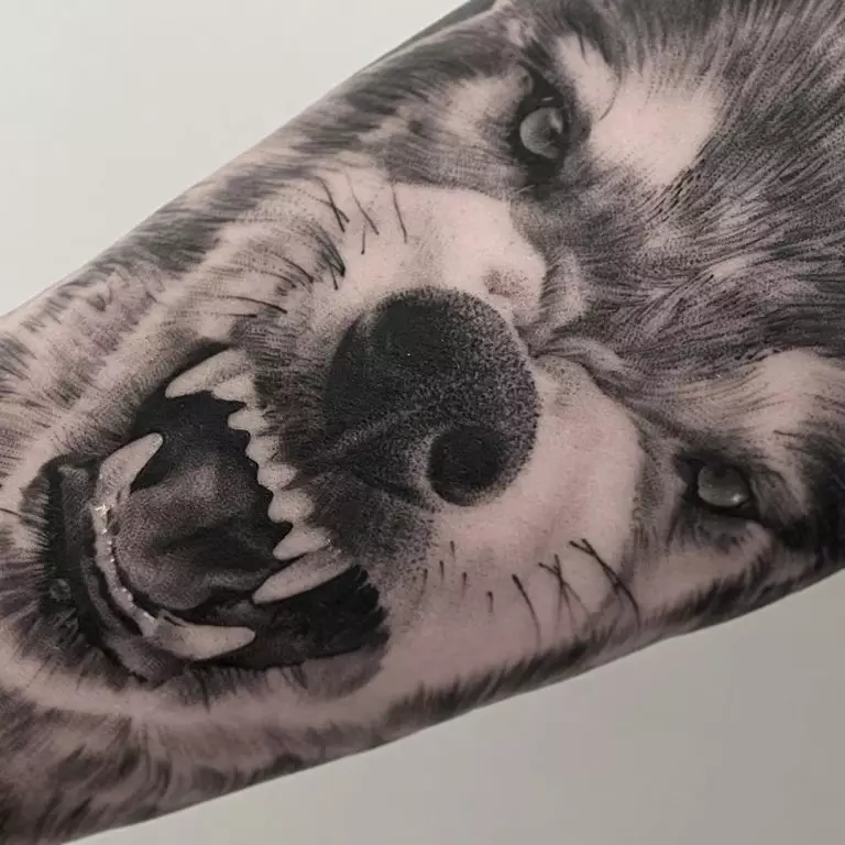 紋身“Oskal Wolf”（43張照片）：價值和素描，紋身用狼磨在肩部和胸部，在前臂和身體的其他部位 249_3