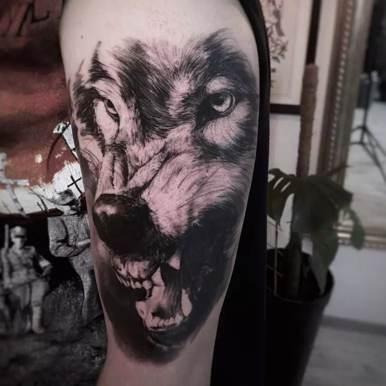 纹身“Oskal Wolf”（43张照片）：价值和素描，纹身用狼磨在肩部和胸部，在前臂和身体的其他部位 249_4