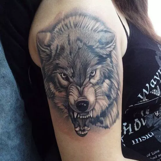タトゥー「Oskal Wolf」（43写真）：価値とスケッチ、肩に粉砕されたオオカミの入れ墨、胸の上、前腕の他の地域で 249_42