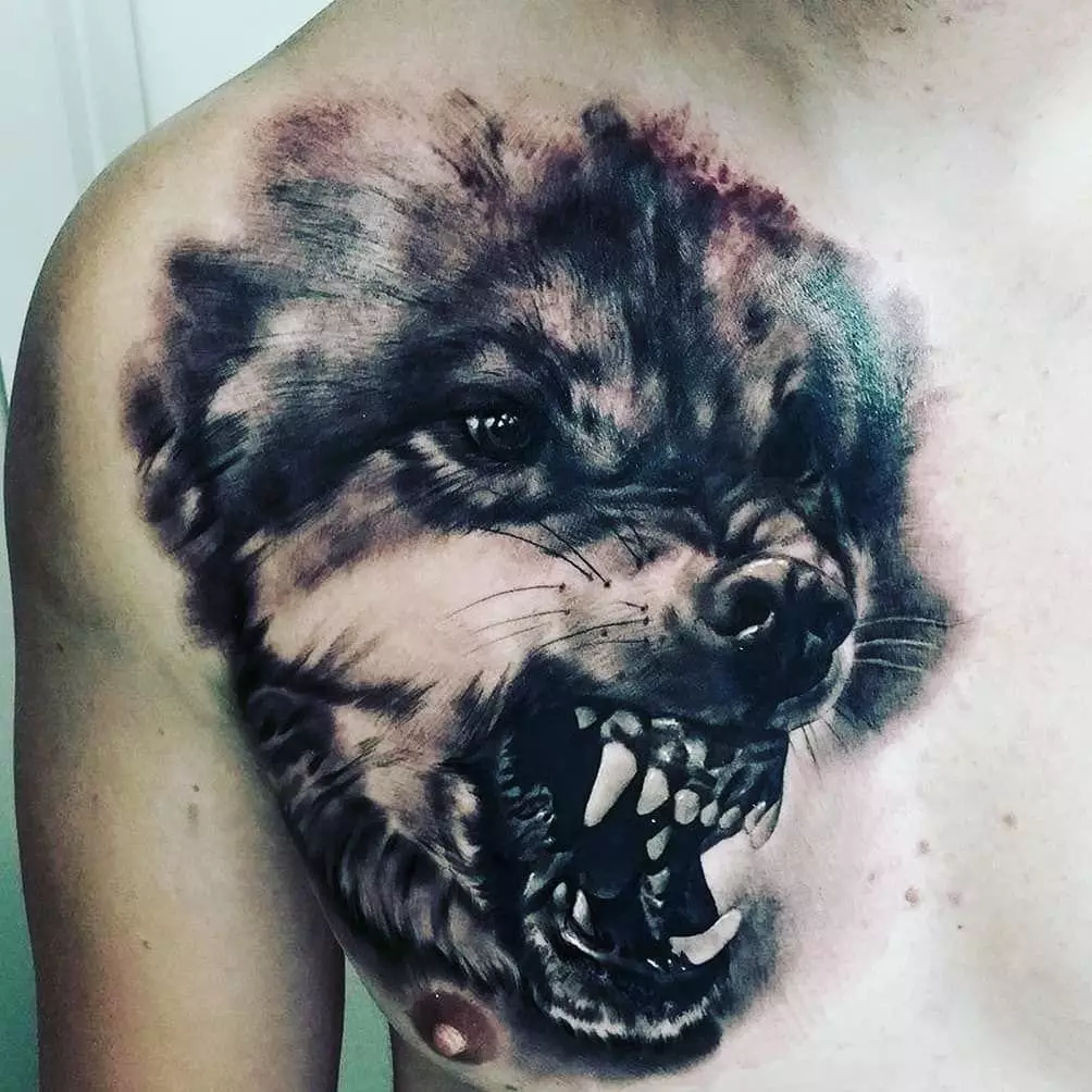 紋身“Oskal Wolf”（43張照片）：價值和素描，紋身用狼磨在肩部和胸部，在前臂和身體的其他部位 249_8