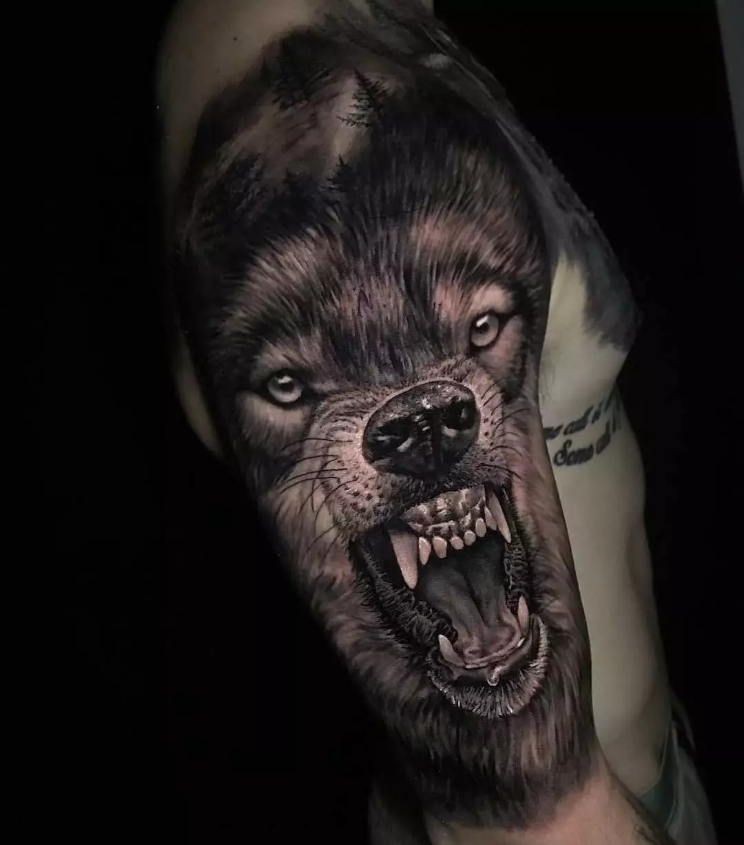 タトゥー「Oskal Wolf」（43写真）：価値とスケッチ、肩に粉砕されたオオカミの入れ墨、胸の上、前腕の他の地域で 249_9