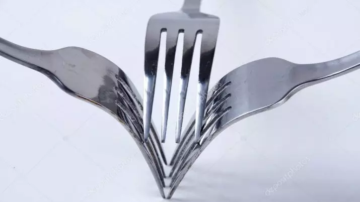 ប្រភេទនៃ Forks 43 រូបថត): ប្រាក់ melichior និងចំអិនពូជសម្រាប់សាច់និងអយស្ទ័រប្លាស្ទិចប្លាស្ទិចដែលអាចបោះចោលបាននិងប្រើឡើងវិញបាន 25000_6