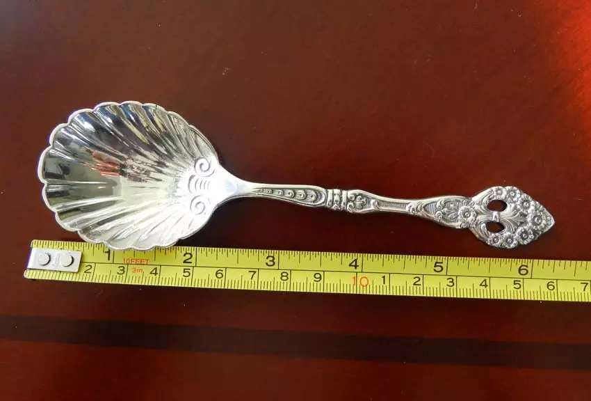 Teaspoon (29 photos): volume in ml, disposable products and spoons with a long handle. Size and weight in grams 25002_5