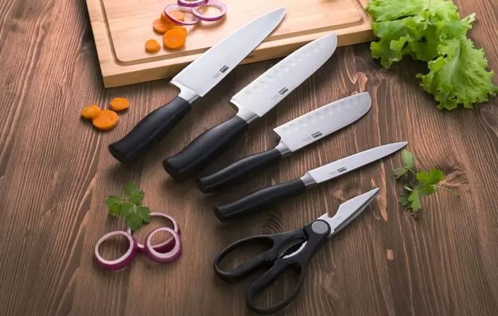 Μαχαίρια Berndes: Santok Kitchen Knife Επισκόπηση και άλλα μοντέλα. Χαρακτηριστικά του μαγειρέματος, Universal και άλλα μαχαίρια Berndes 25004_2