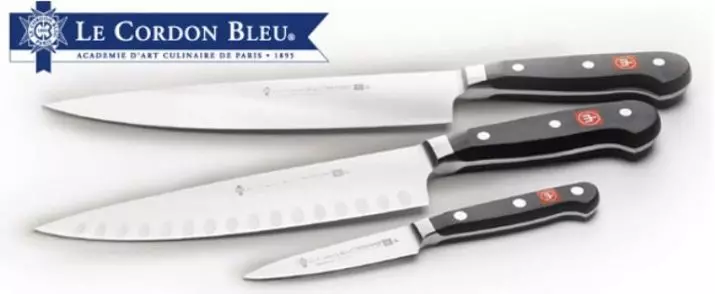 Ножове Ножове: Описание на немските ножовете за кухнята. Плюсове и минуси на Dreizack кухненски ножове, Classic Ikon и други модели 25005_24