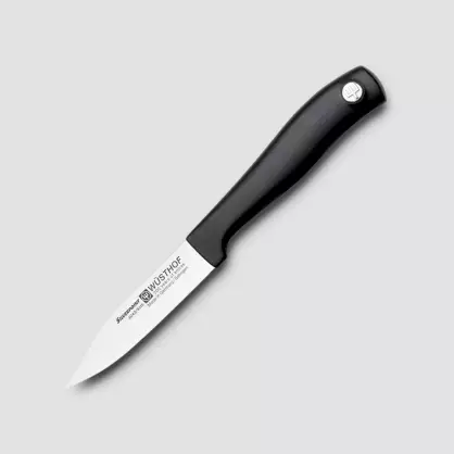 Ножове Ножове: Описание на немските ножовете за кухнята. Плюсове и минуси на Dreizack кухненски ножове, Classic Ikon и други модели 25005_32