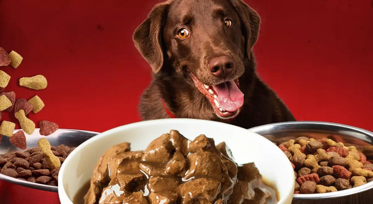 Toit koertele Grandin: Terviklik väikeste ja muude tõugude kutsikate, poollagunenud ja kuiva toidu kutsikate jaoks, konserveeritud toit. Sööda veiseliha ja teiste kompositsioonidega, ülevaateid 25061_5