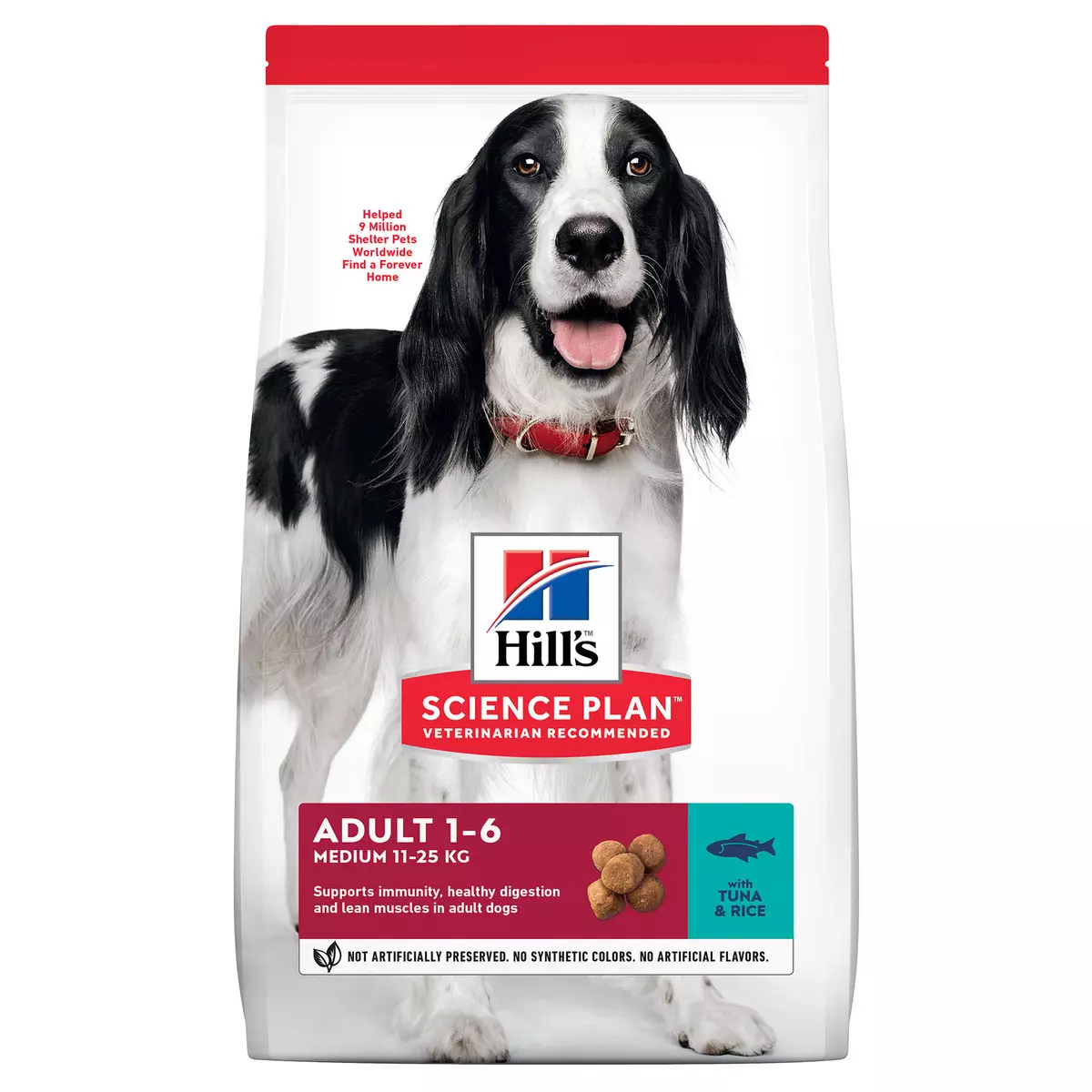 Feed anjing Hill: untuk anjing yang disterilkan dan tua. Komposisi anjing makanan dengan kambing untuk baka besar dan sederhana, makan dengan beras dan lain-lain. Ulasan 25063_10