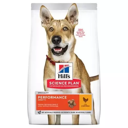 Alimentación del perro de Hill: para perros esterilizados y ancianos. La composición del perro se alimenta con un cordero para razas grandes y medianas, se alimenta de arroz y otros. Comentarios 25063_13