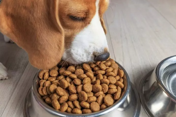 Alimentació DailyDog: alimentació seca per a gossos i cadells amb xai i arròs, altres formulacions 25074_11