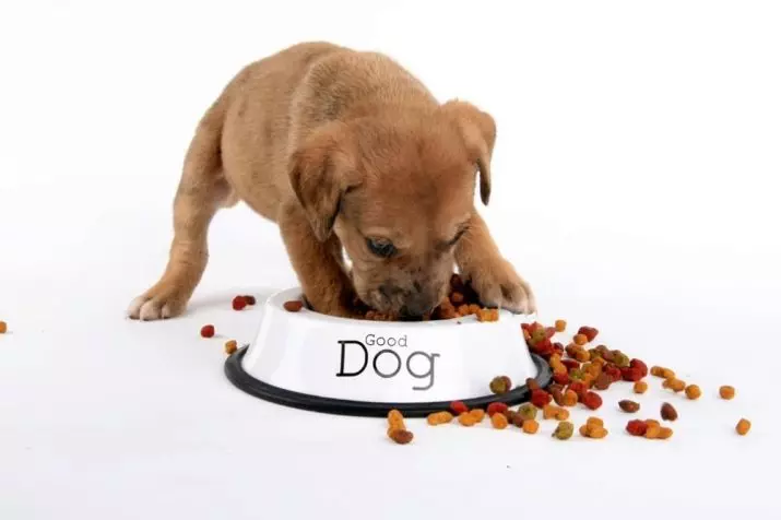 Alimentació DailyDog: alimentació seca per a gossos i cadells amb xai i arròs, altres formulacions 25074_12