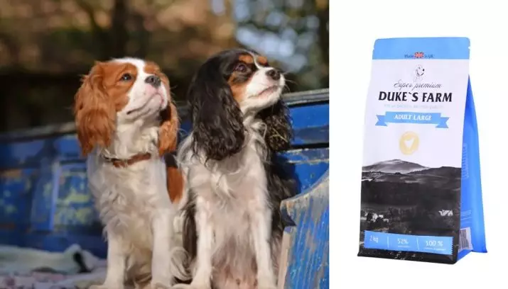Duke'nin çiftlik köpeği beslemesi: Yavru köpekler ve büyük ve diğer ırkların köpeklerinde, kuru yemek 12 kg ve ıslak, yıldırım beslemesi. İnceleme yorumlar 25076_23