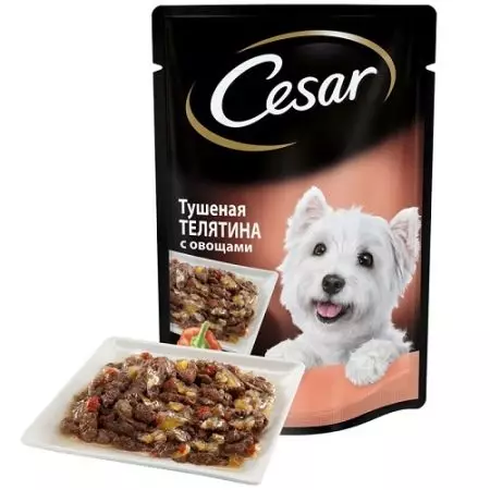Cesar anjing: dina kantong sareng di bank, baseuh sareng garing sareng garing sareng komposisi, kadaharan anjing pikeun anjing domeuy. Ulasan ulasan 25082_13