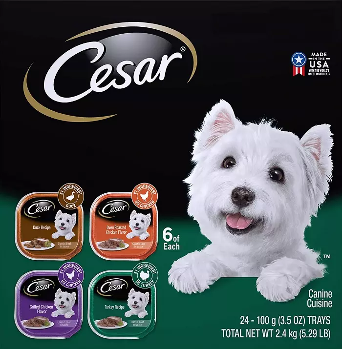 Cesar anjing: dina kantong sareng di bank, baseuh sareng garing sareng garing sareng komposisi, kadaharan anjing pikeun anjing domeuy. Ulasan ulasan 25082_23