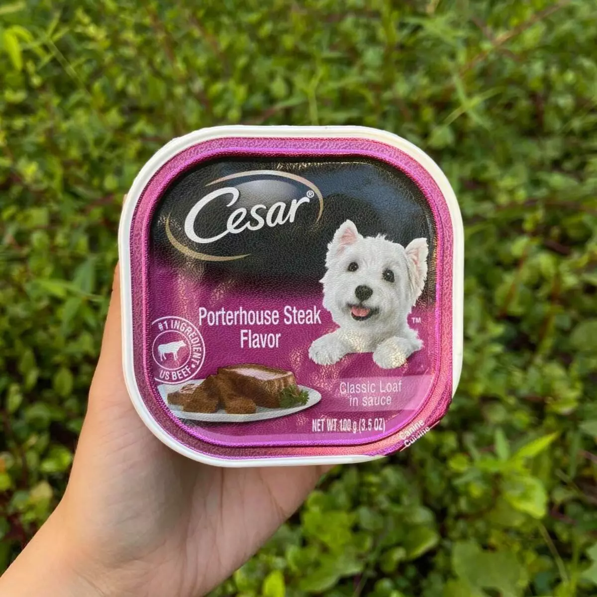 Cesar Dog Feed: сөмкелерде және банктерде, ылғалды және құрғақ тағамдарда және олардың құрамында ересек иттер мен күшіктер үшін ит тағамдары. Шолу шолулары 25082_24