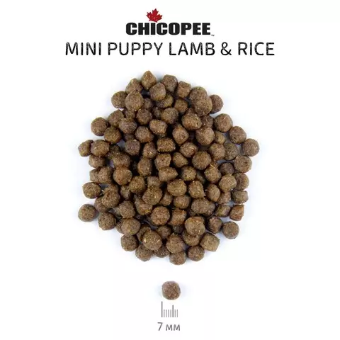 Chicopee Dog Feed: დიდი და პატარა ქანების, მშრალი და სველი საკვების ლეკვები და ზრდასრული ძაღლები. შეფასება 25089_12