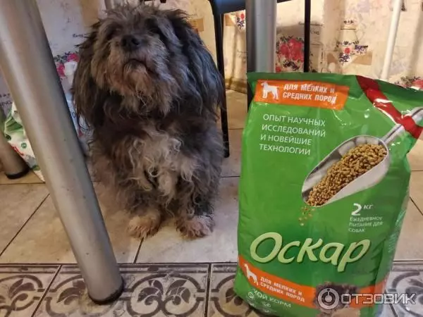 Feed Oscar: Dành cho chó, chó con và mèo. Thực phẩm khô và ướt, thành phần của chúng. Nhà sản xuất thức ăn cho chó cho những con chó hoạt động của các giống lớn và những người khác, đánh giá 25097_19