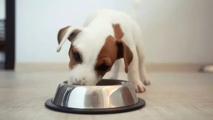 ピッコロ犬の飼料：犬や小さな品種の子犬のための乾燥食品、それらの組成。レビューをレビューする 25100_17