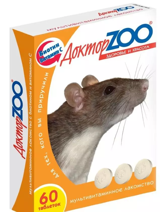 Ćelavi štakori (28 fotografija): Koliko sfingija živi? Kako se brinuti za domaće dekorativne štakore? 25119_28