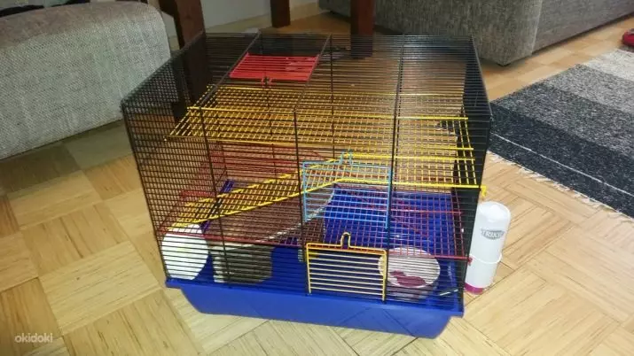 Burar för råttor (35 bilder): vilken storlek ska vara? Vad ska man utrusta stora celler? Hur man väljer en bostad för två hemråttor? 25120_10