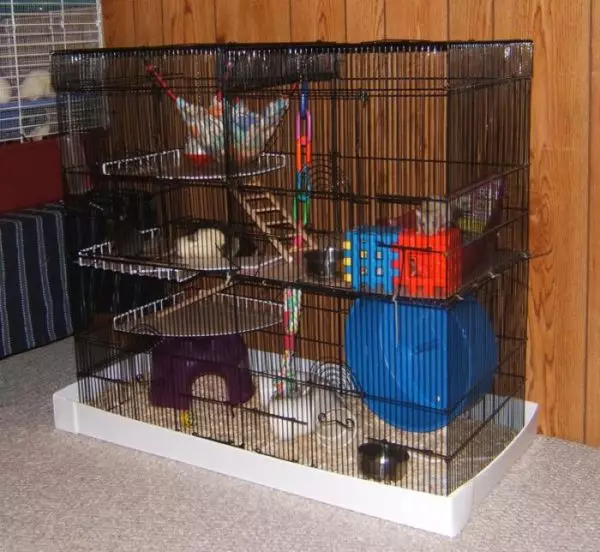 قفس برای موش ها (35 عکس): چه اندازه باید باشد؟ چه چیزی برای تجهیز سلول های بزرگ؟ چگونه یک خانه را برای دو موش خانگی انتخاب کنید؟ 25120_13