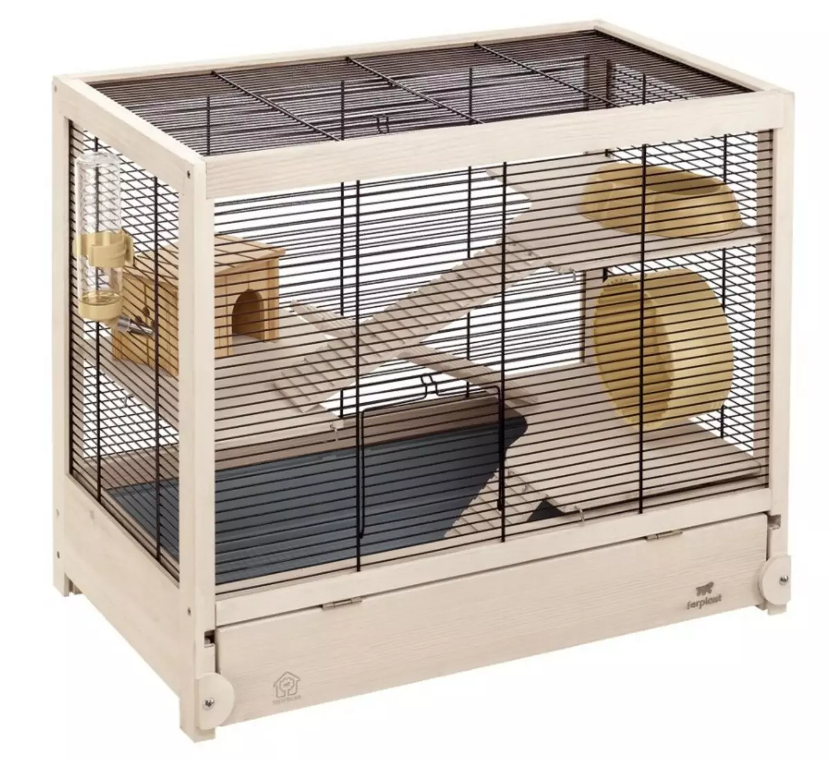 大鼠的籠子（35張）：應該是多少尺寸？什麼裝備大細胞？如何選擇兩個家庭大鼠的住宅？ 25120_15