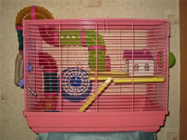 قفس برای موش ها (35 عکس): چه اندازه باید باشد؟ چه چیزی برای تجهیز سلول های بزرگ؟ چگونه یک خانه را برای دو موش خانگی انتخاب کنید؟ 25120_25