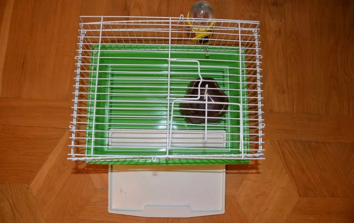 大鼠的籠子（35張）：應該是多少尺寸？什麼裝備大細胞？如何選擇兩個家庭大鼠的住宅？ 25120_6