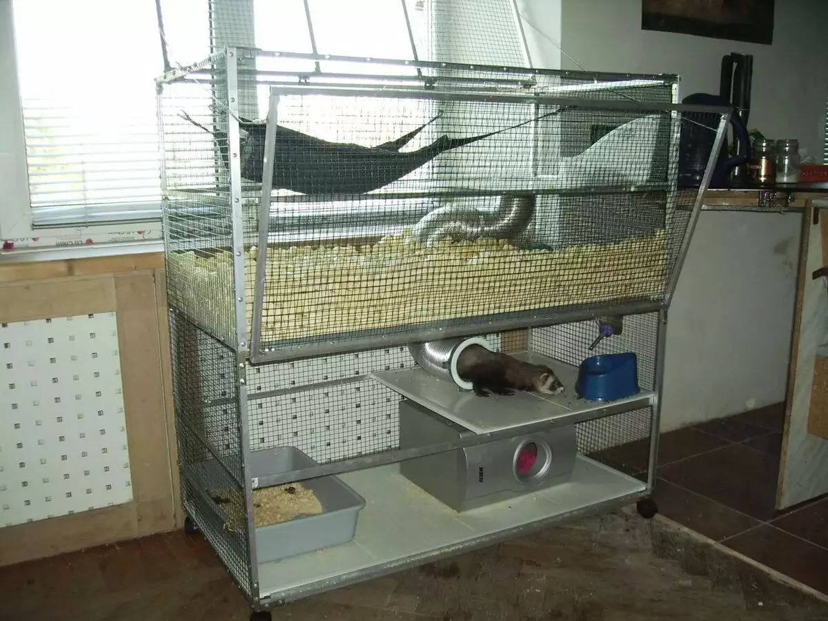Cages for ferrets (34 photos): Ndeapi mitezo inodiwa? Maitiro ekugadzira maererano nekudhirowa nemaoko ako pachako? Maitiro Ekuungana Kwemusha? 25125_10