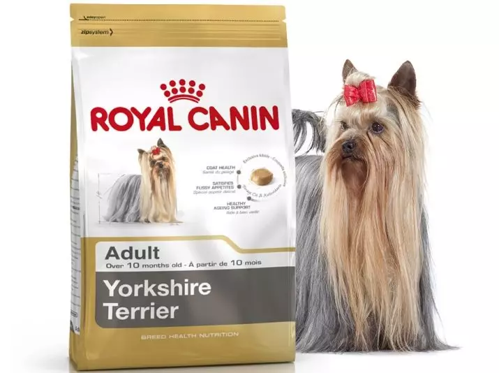 Mat for Yorkshire Terriers: normen for tørr og våt fôr for valpene i York. Premium Class Feed Review for Dogs 25131_5