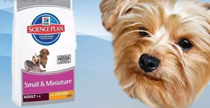 Food for yorkshire terriers: the norm of dry and wet feed for the puppies of York. Premium Class Feed Review for Dogs 25131_9