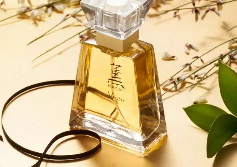 Faberlic parfum en oare parfum (49 foto's): eau de toilette renata geheim en skientme cafe caprice, alena akhmadullina, incognito en oar parfum 25157_10