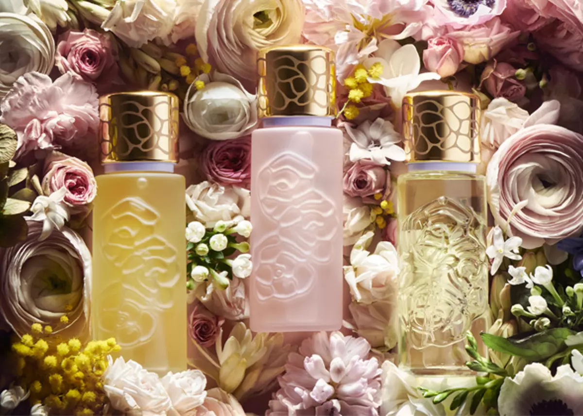 Houbigant perfum: Quelques Fleurs Royale i poques essència, Orangers en fleurs i Iris des Champs, fougère ROYALE i Colònia intens, APERCU i altres sabors 25165_5