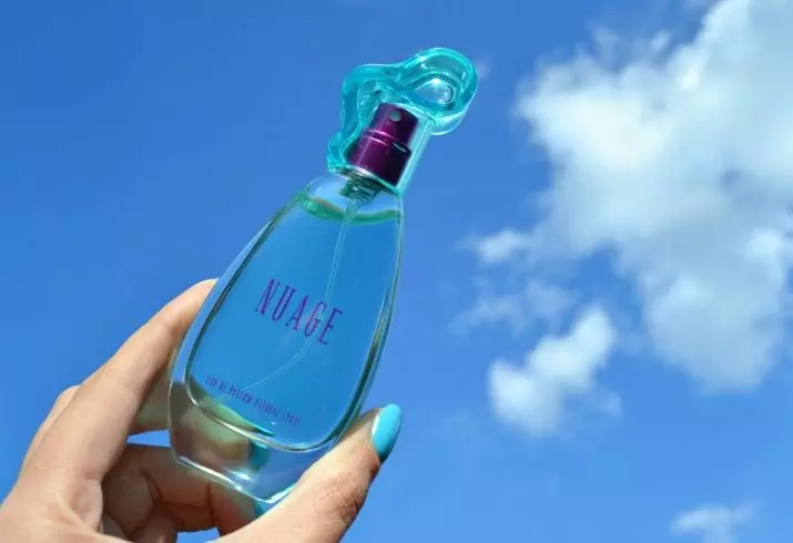 Parfüm Ciel Parfum: szeszes nuage és mások, ízek filozófiája, választék és olvasmányok az illatszerről 25173_11
