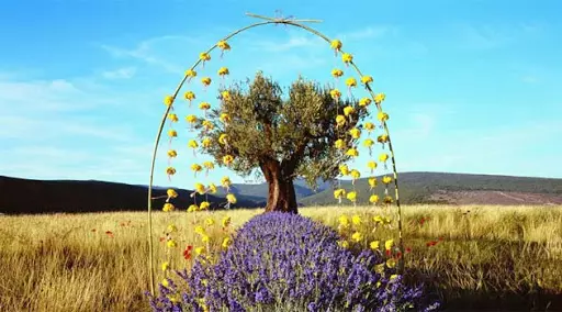 Parfimērija l`occitane en Provence: smaržas un tualetes ūdens, sieviešu un vīriešu smaržas, pārskats par smaržu 