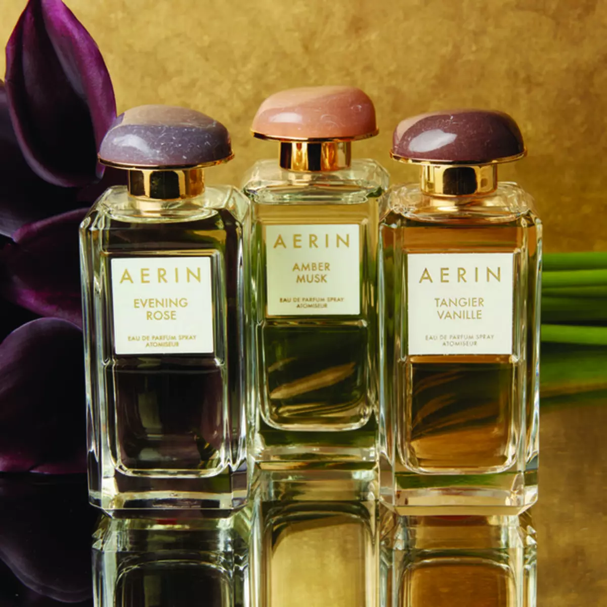 Perfumes Aerin Lauder: Parfume Amber Musk, Tanger Vanille og andre parfume, udvælgelseskriterier 25206_10