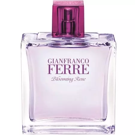 Parfumes iz Ferre: Gianfranco Ferre Female in moški Perfumi Pregled, GF Ferre WC Voda, Gianfranco, Clooming Rose in druge okuse, kako izbrati 25225_11