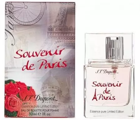 Perfum S.T. DuPont: perfum femení i masculí, aromes d'aigua de bany i consells de selecció 25250_16