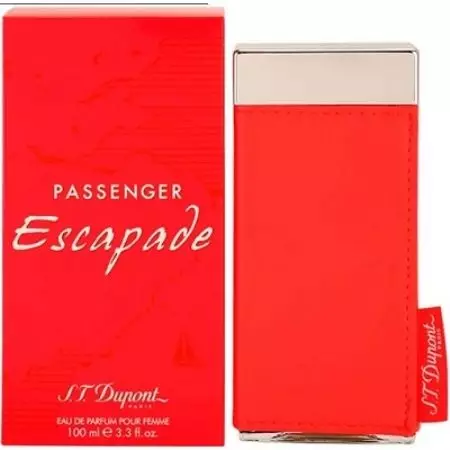 Perfume s.t. DuPont: perfume hembra y hombre, aromas de agua de inodoro y consejos de selección 25250_18