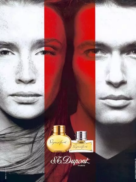 Perfume s.t. DuPont: perfume feminino e masculino, aromas de água e dicas de seleção 25250_3
