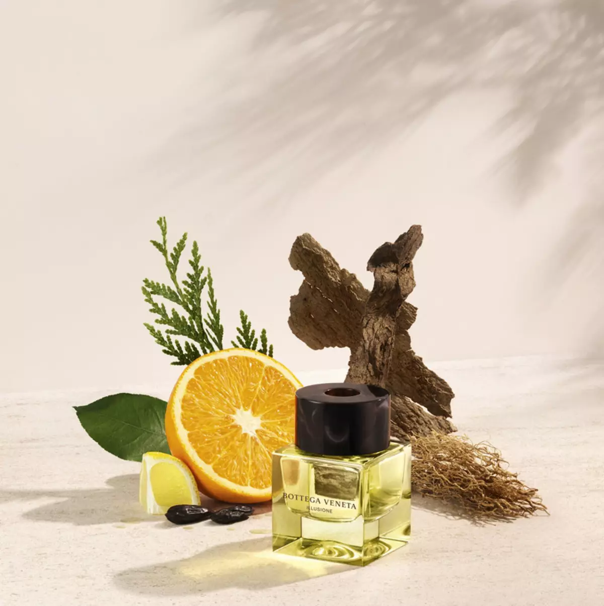 ボッテガ・ヴェネタの香水：女性と男性の香水、結び目、イリュージョンや他のドレッシングの水、香りについてのレビュー 25257_17