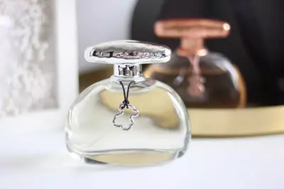 Tyus Perfumes: ವಾಟರ್ ಅವಲೋಕನ ವೀಕ್ಷಿಸಿ 1920 ಮೂಲ, ಮನುಷ್ಯ ಲೆಸ್ ಕೊಲೊಗ್ಸ್ ಕಾಂಕ್ಯೂನ್ಸ್ ಮತ್ತು ಇತರ ಸುಗಂಧ ದ್ರವ್ಯಗಳು, ಆಯ್ಕೆ ಮಾನದಂಡಗಳು 25273_9