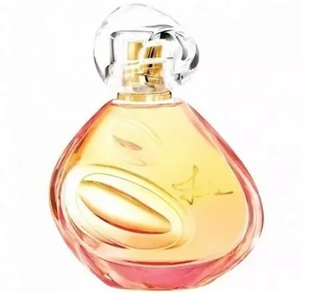 Parfume Sisley: Parfume og toiletvand, Eau du Soir, Kvindelige dufte Izia, Soir de Lune og andre parfume. Beskrivelse. Anmeldelser 25284_12