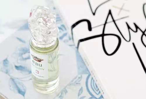 Parfume Sisley: Parfume og toiletvand, Eau du Soir, Kvindelige dufte Izia, Soir de Lune og andre parfume. Beskrivelse. Anmeldelser 25284_8